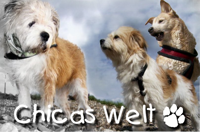 Tritt ein!